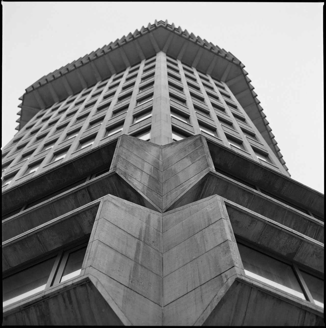 Archillect ID 408562