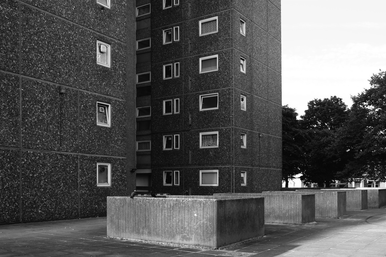 Archillect ID 408598