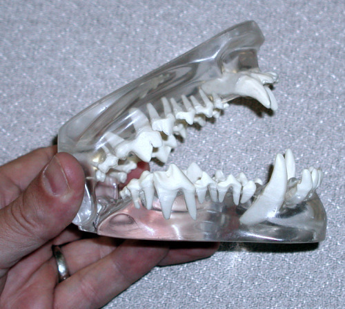 Archillect ID 408610