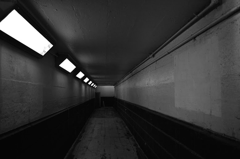 Archillect ID 408638