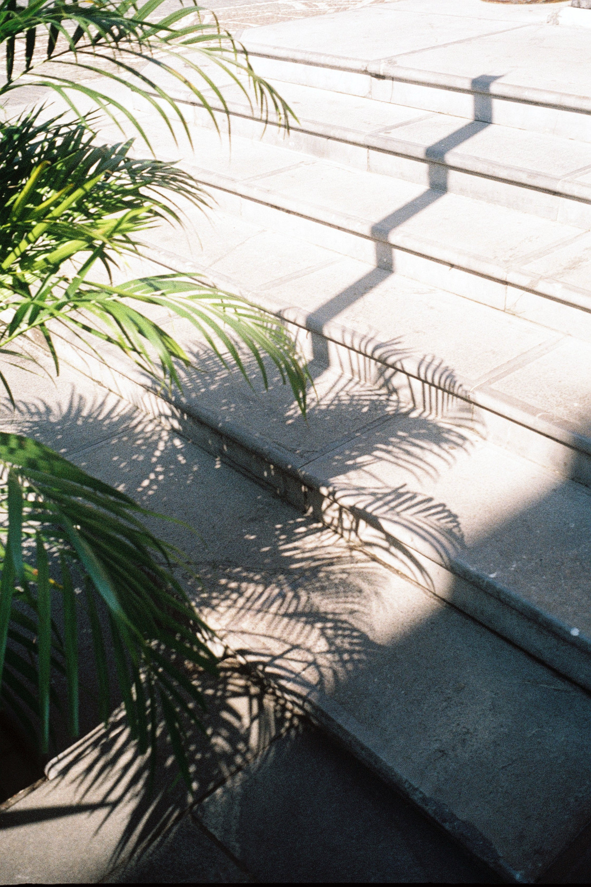 Archillect ID 408643