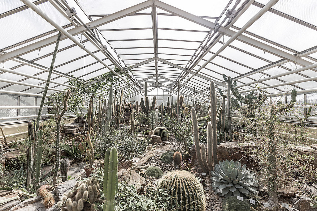 Archillect ID 408676