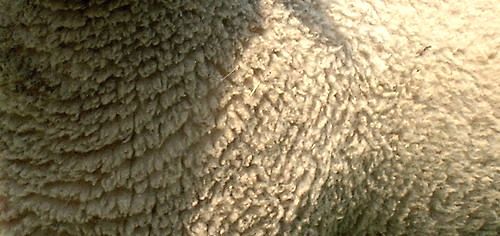 Archillect ID 408697