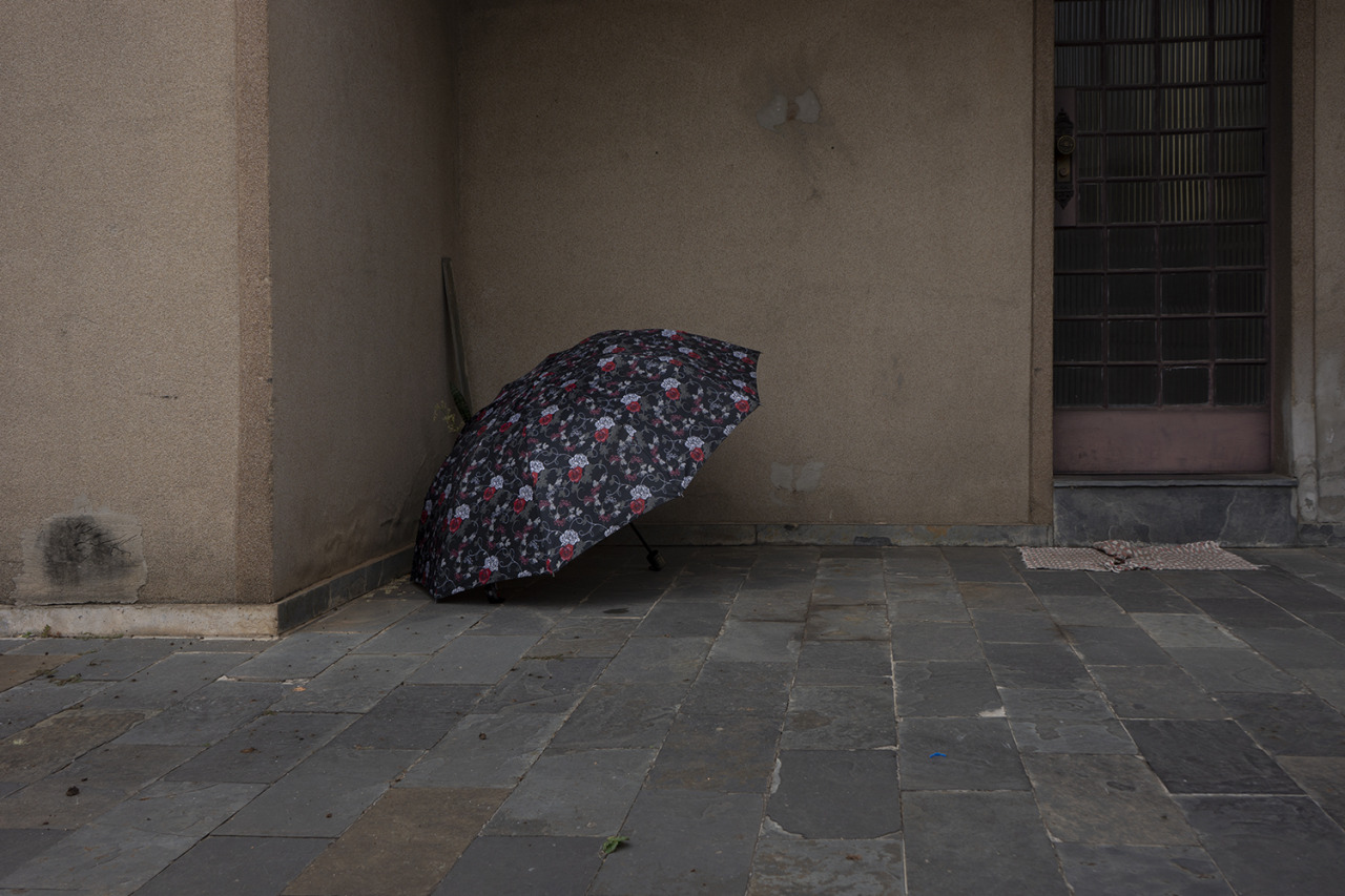 Archillect ID 408717