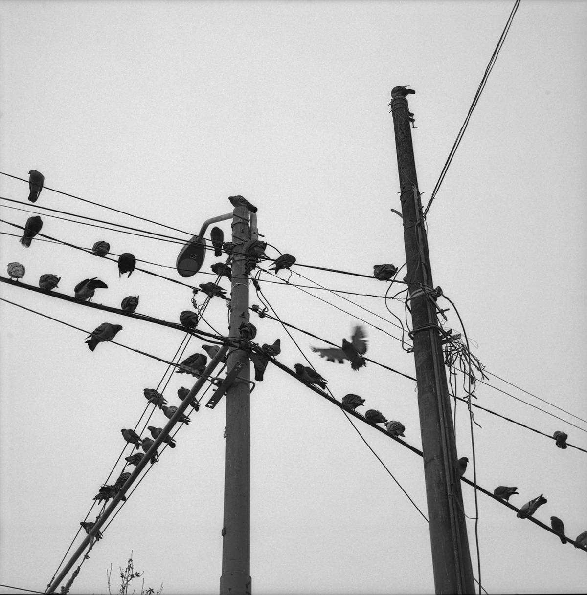 Archillect ID 408718