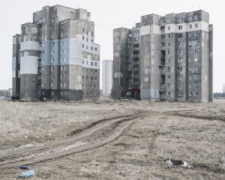 Archillect ID 408756