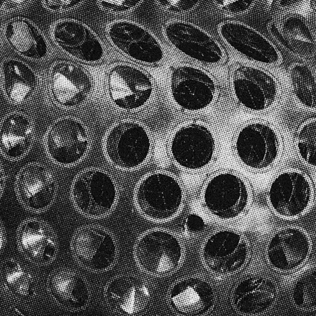 Archillect ID 408770