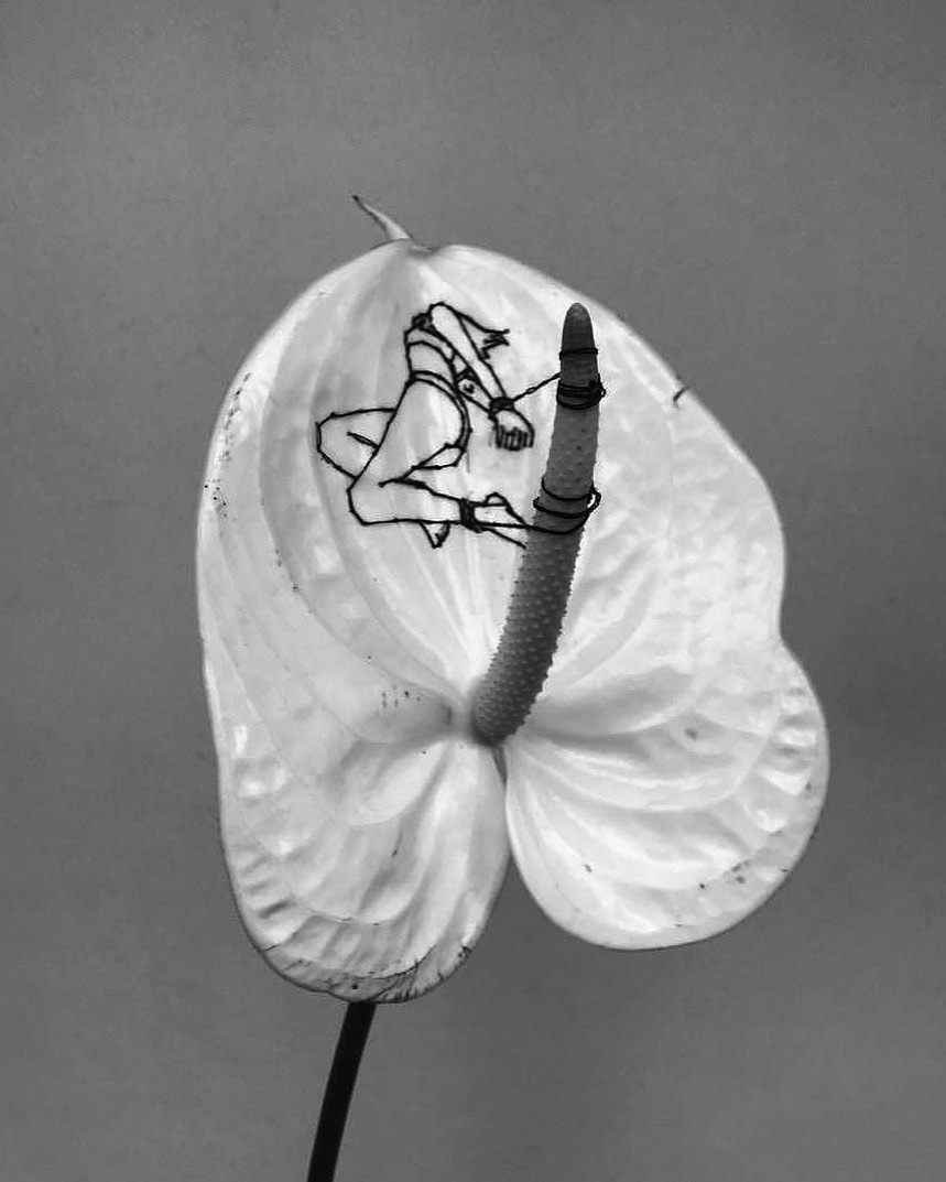 Archillect ID 408808