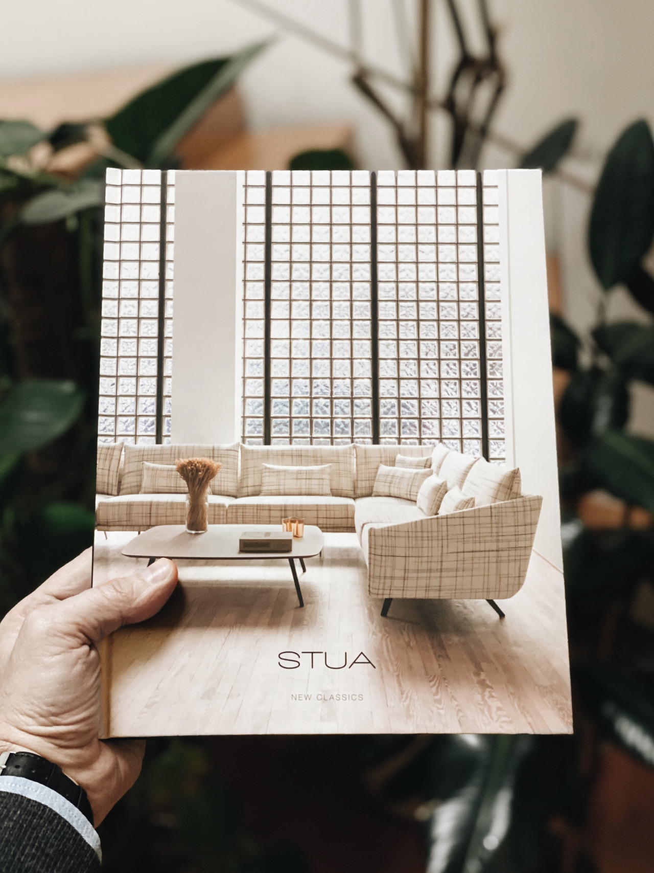 Archillect ID 408811