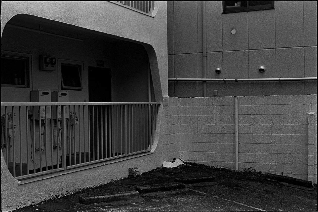 Archillect ID 408884