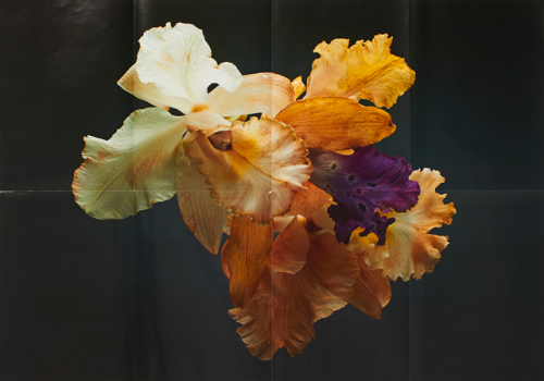 Archillect ID 408887