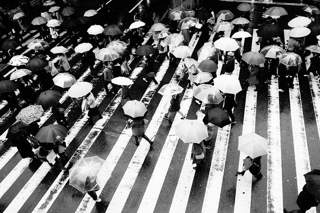 Archillect ID 408892