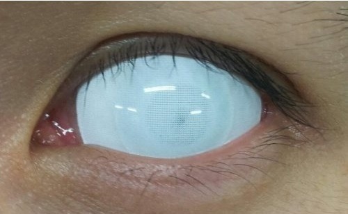 Archillect ID 408907