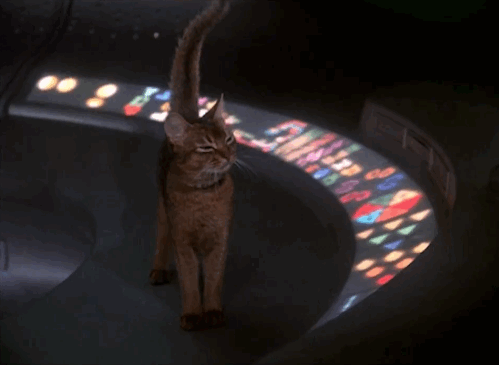 Archillect ID 408911