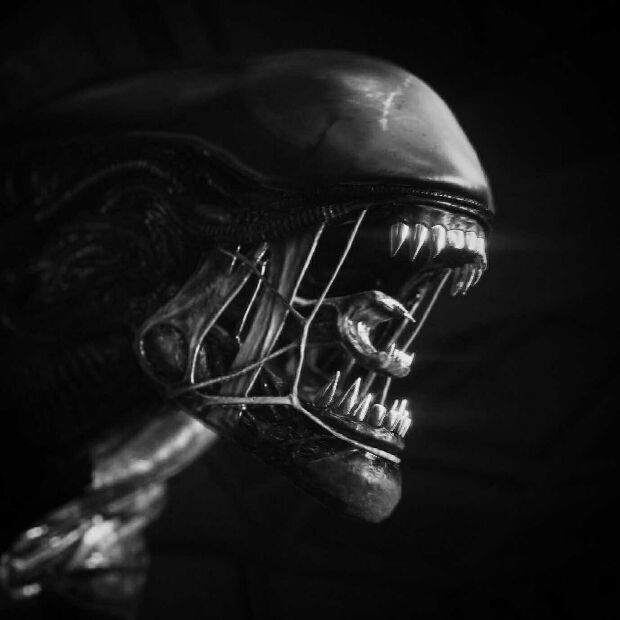 Archillect ID 408932