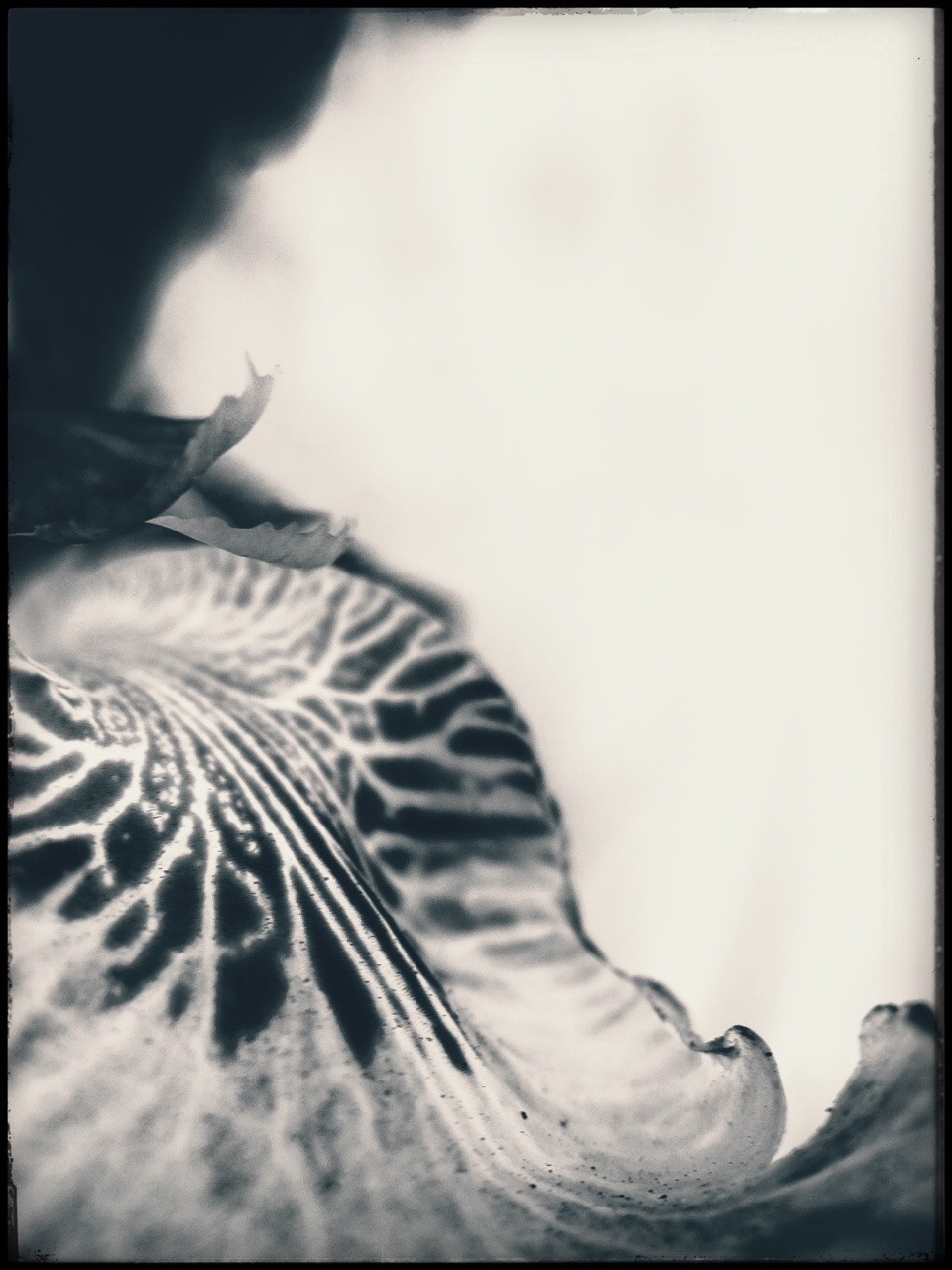 Archillect ID 408936