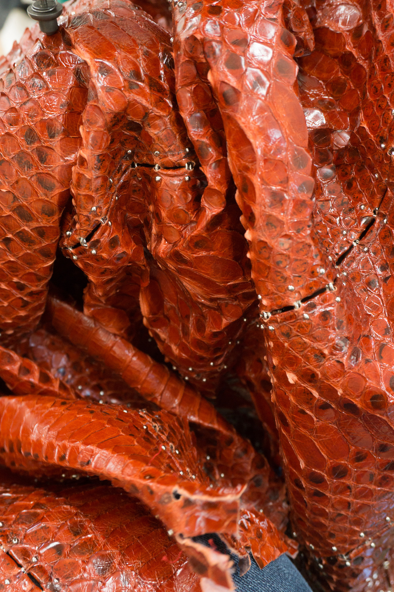 Archillect ID 408948