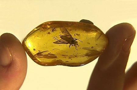 Archillect ID 408976