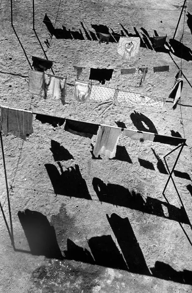Archillect Archive ID 409027