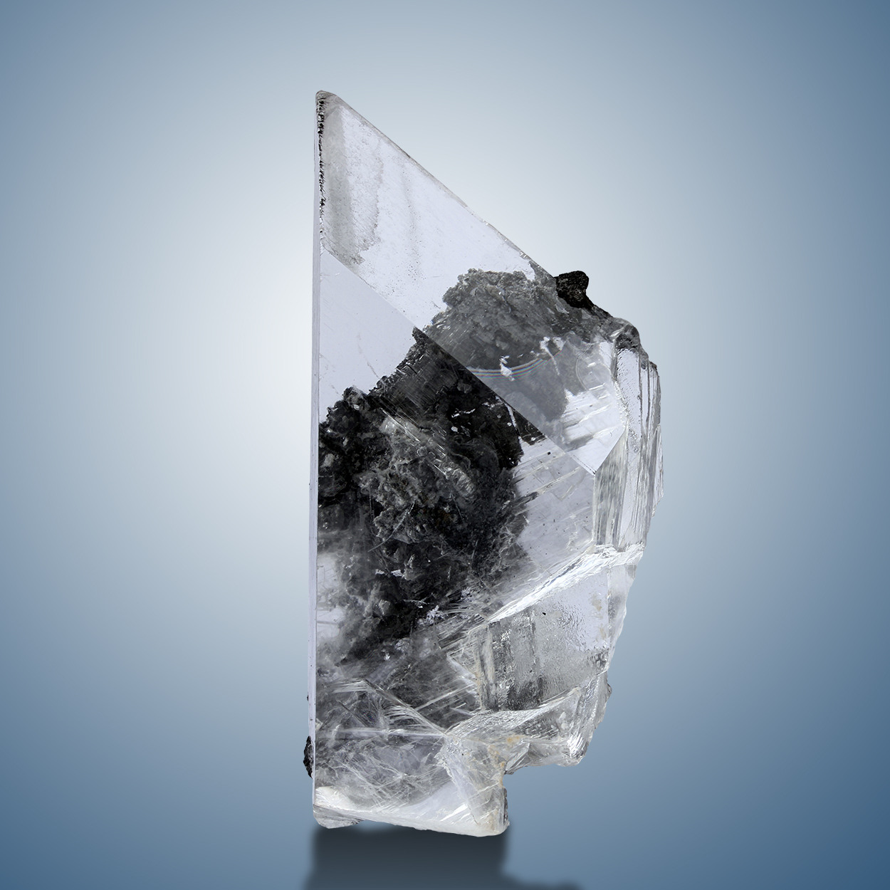 Archillect ID 409051