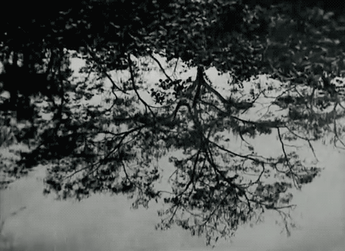 Archillect ID 409075