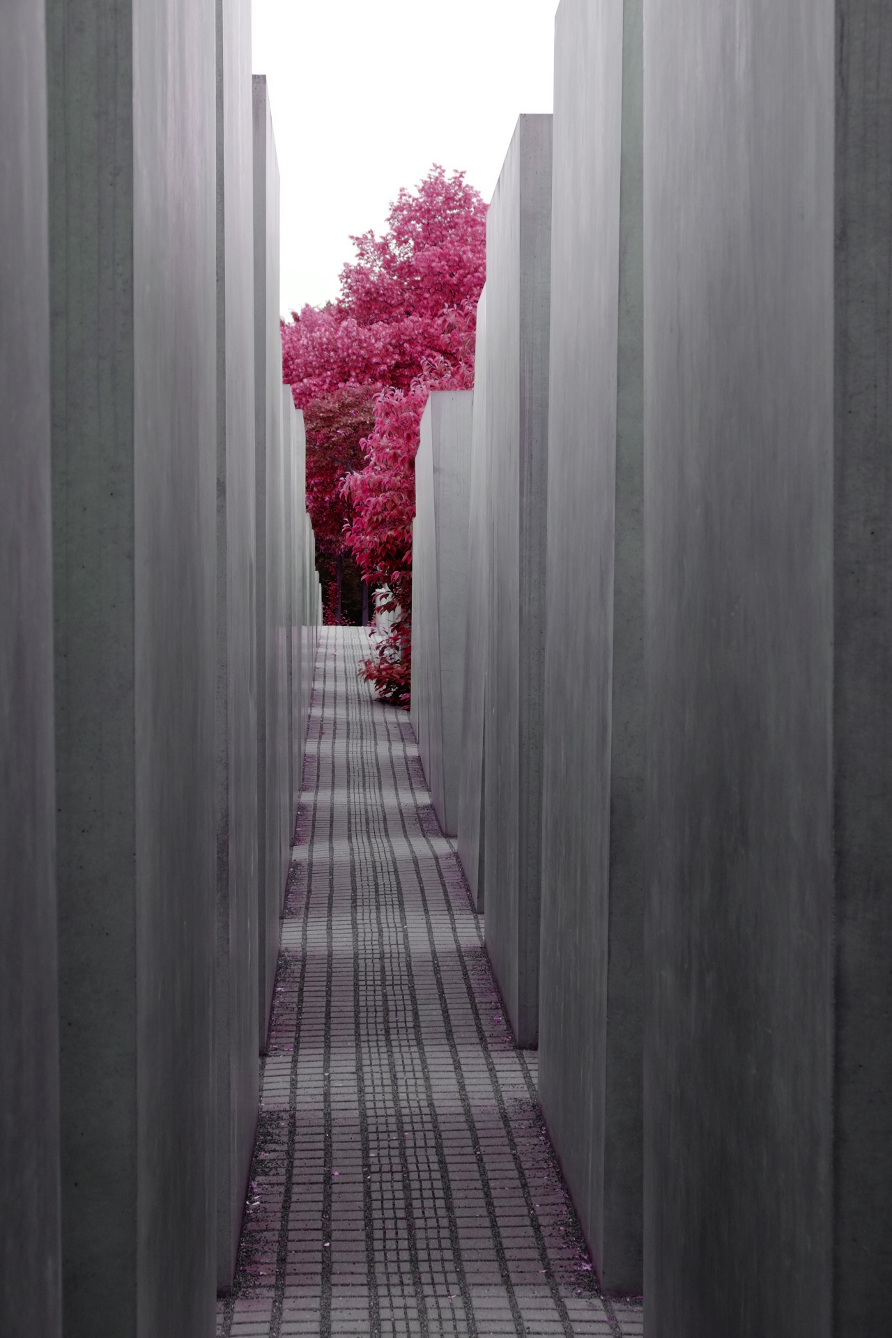 Archillect ID 409083