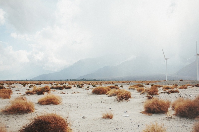 Archillect ID 409094