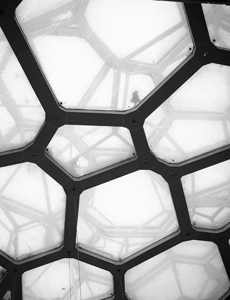 Archillect Archive ID 409142