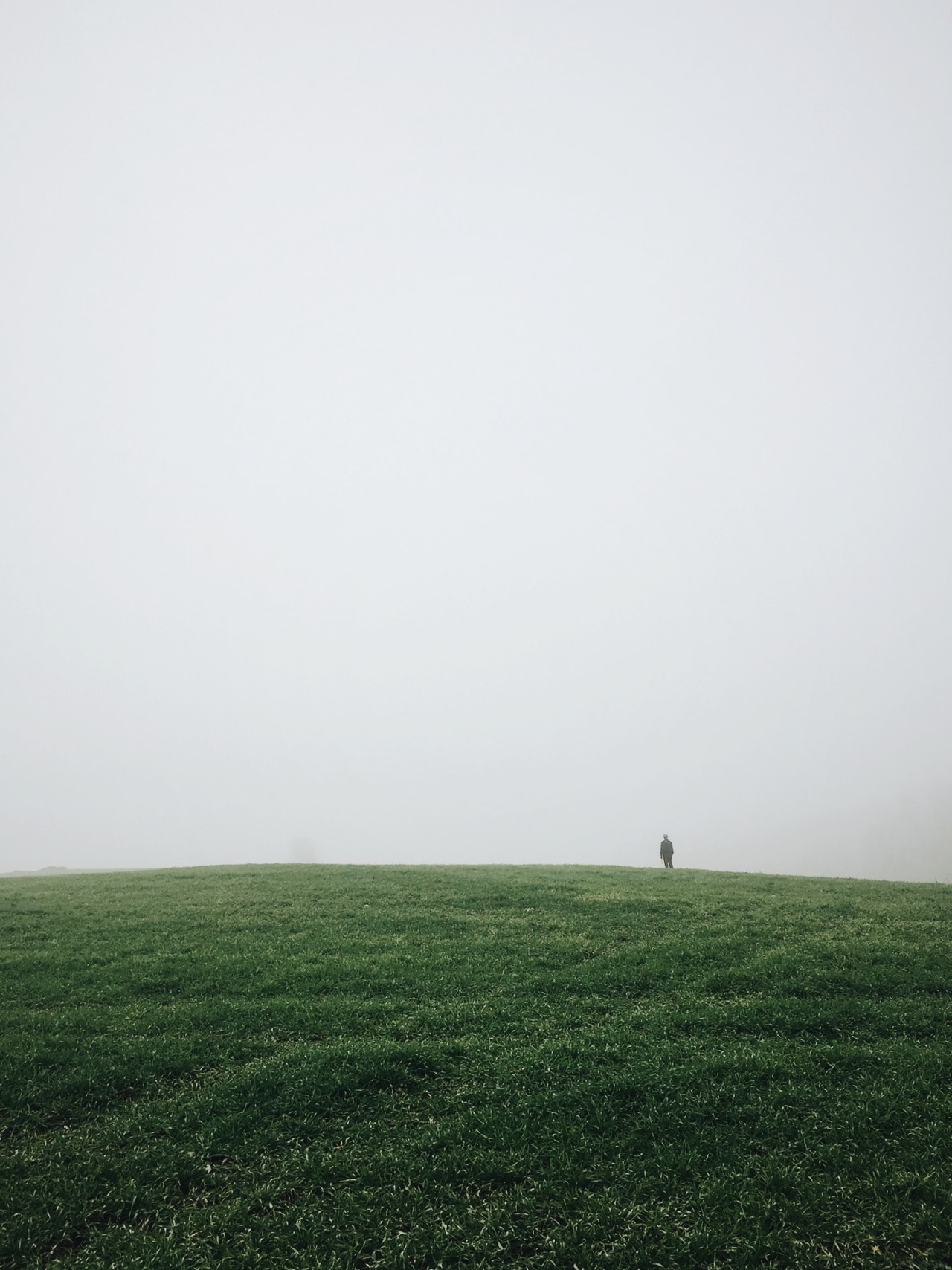 Archillect Archive ID 409250