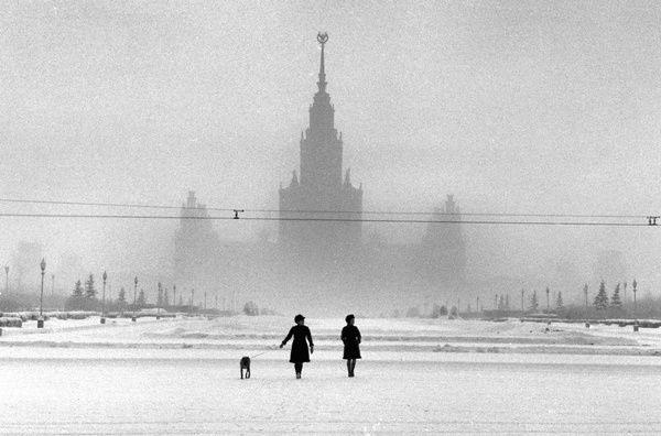 Archillect Archive ID 409267