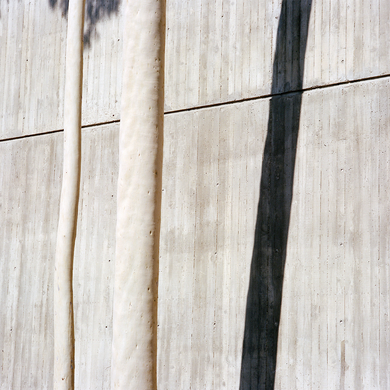 Archillect Archive ID 409527