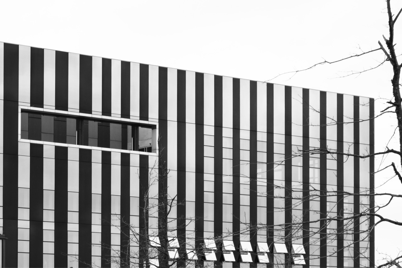 Archillect ID 409585