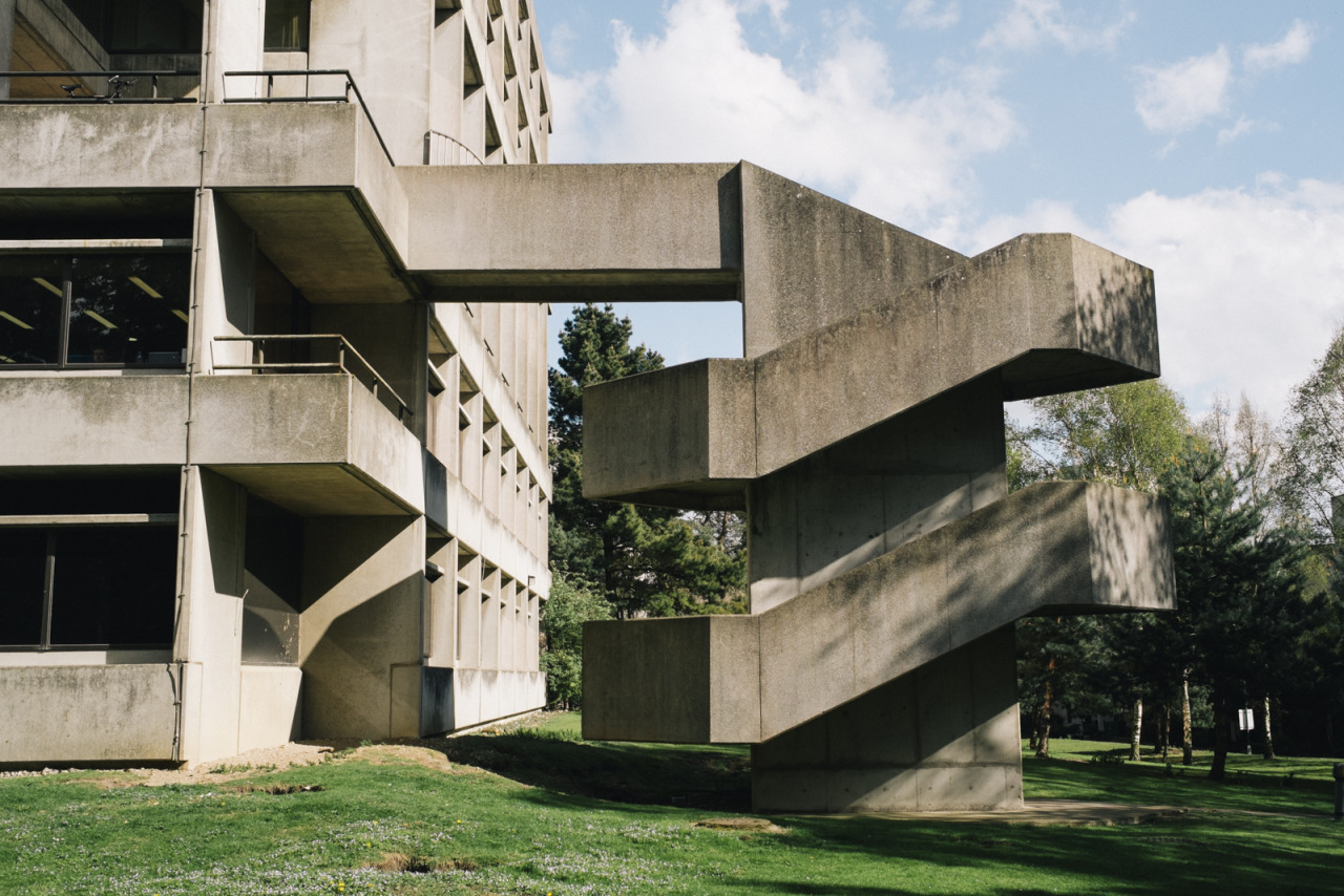 Archillect ID 409596