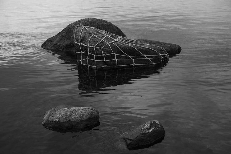 Archillect ID 409639