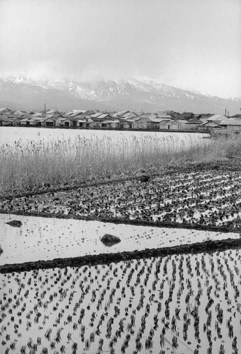 Archillect ID 409666