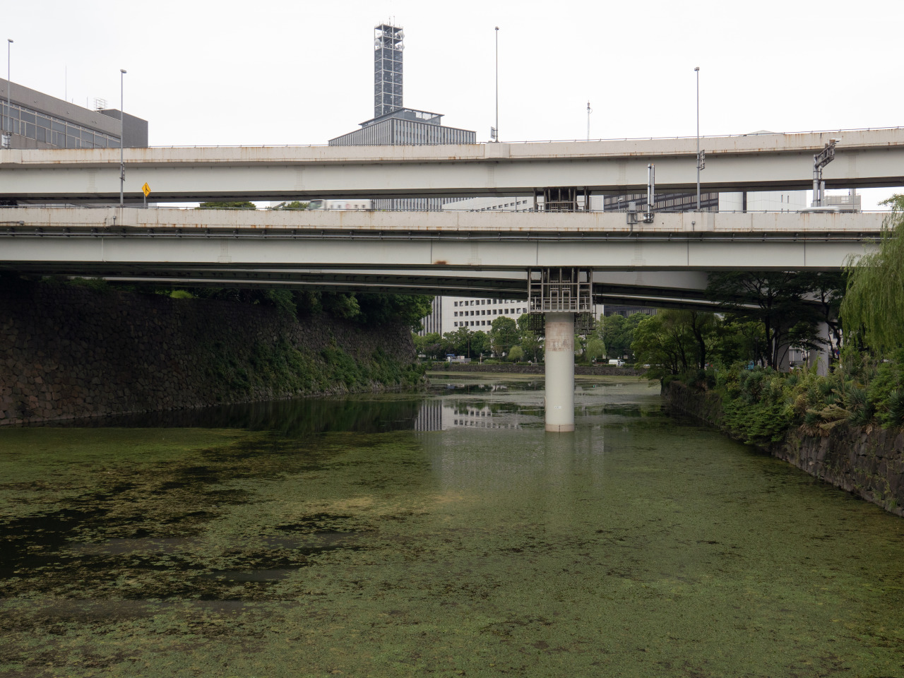 Archillect ID 409693