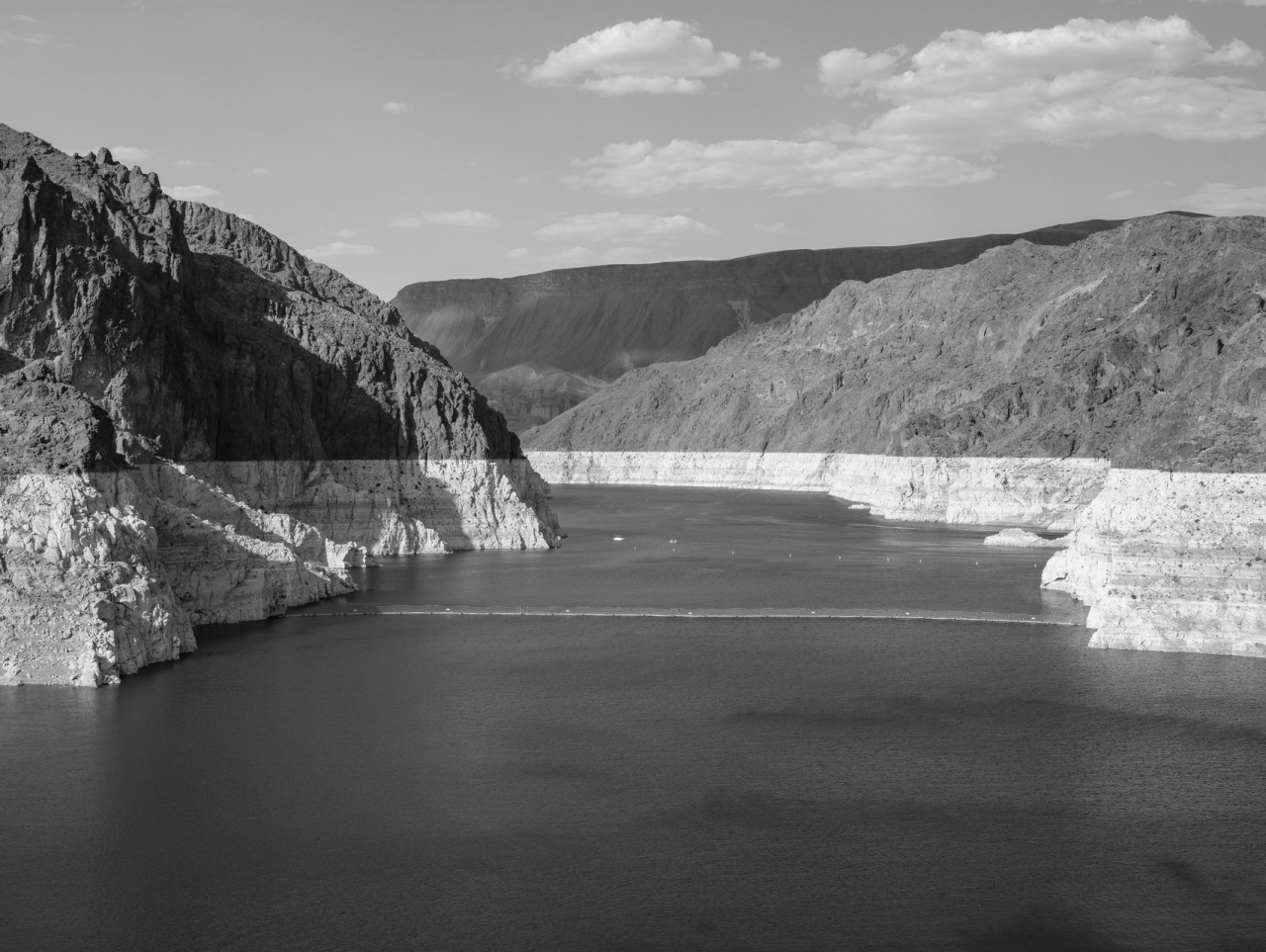 Archillect ID 409716