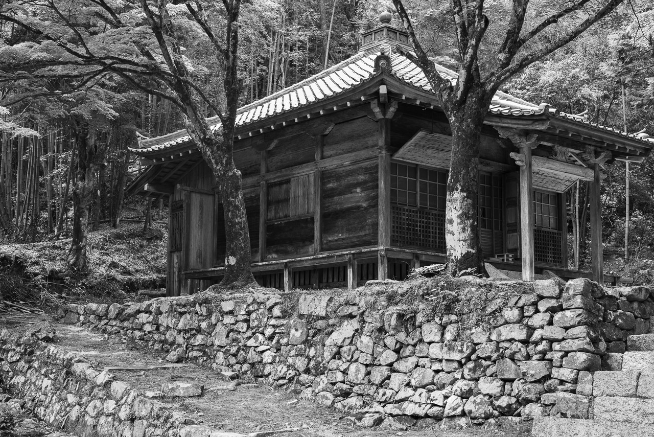 Archillect ID 409736