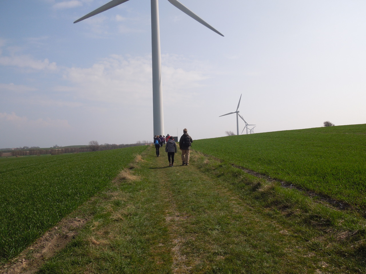 Archillect ID 409789