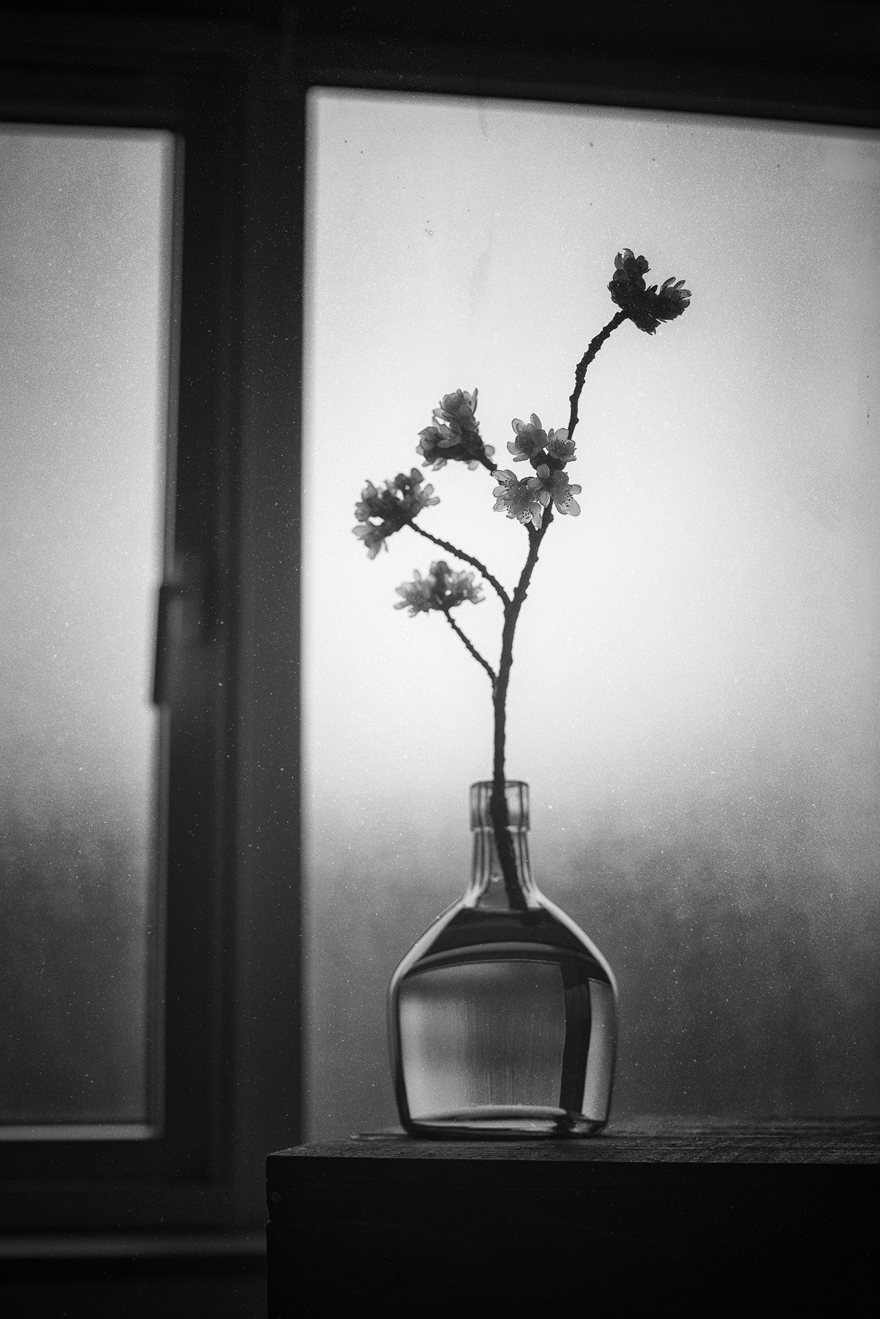 Archillect ID 410081